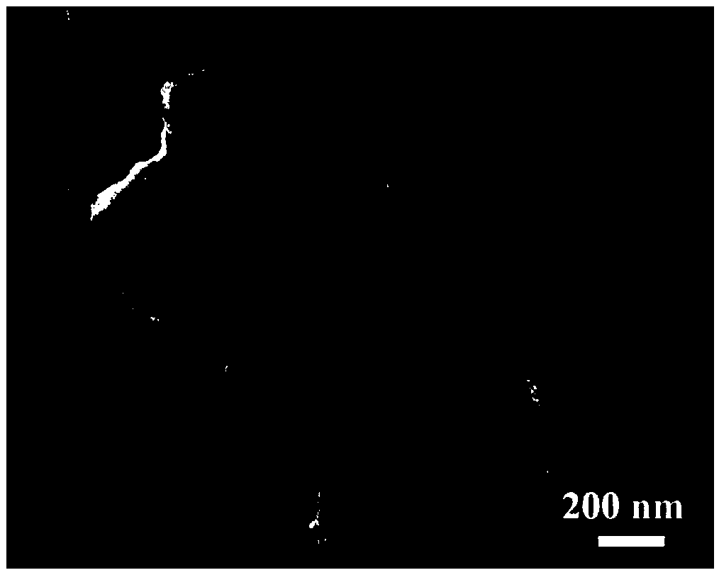 Silicon-based anode material and preparation method thereof and application thereof