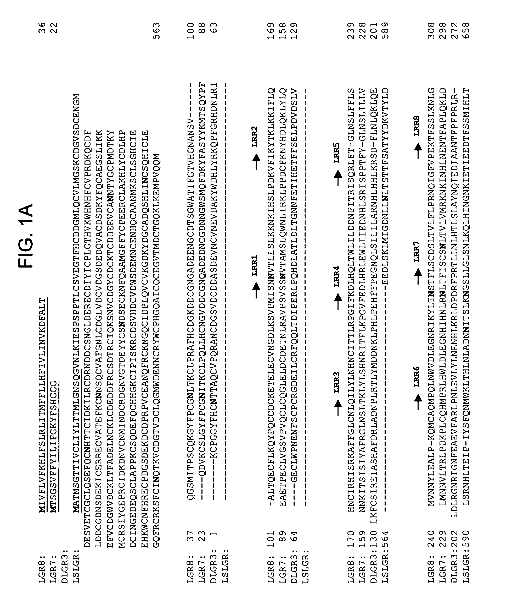 Screening for agents that modulate relaxin function