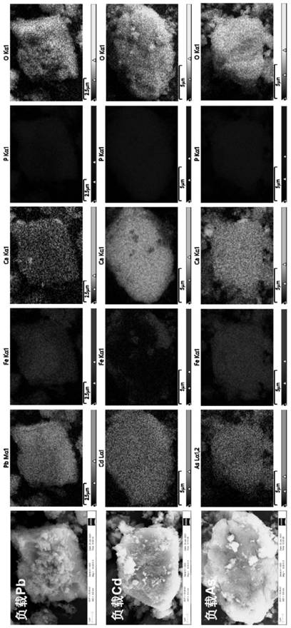 Ferrihydrite@bone black material for synchronously fixing anion and cation heavy metal ions