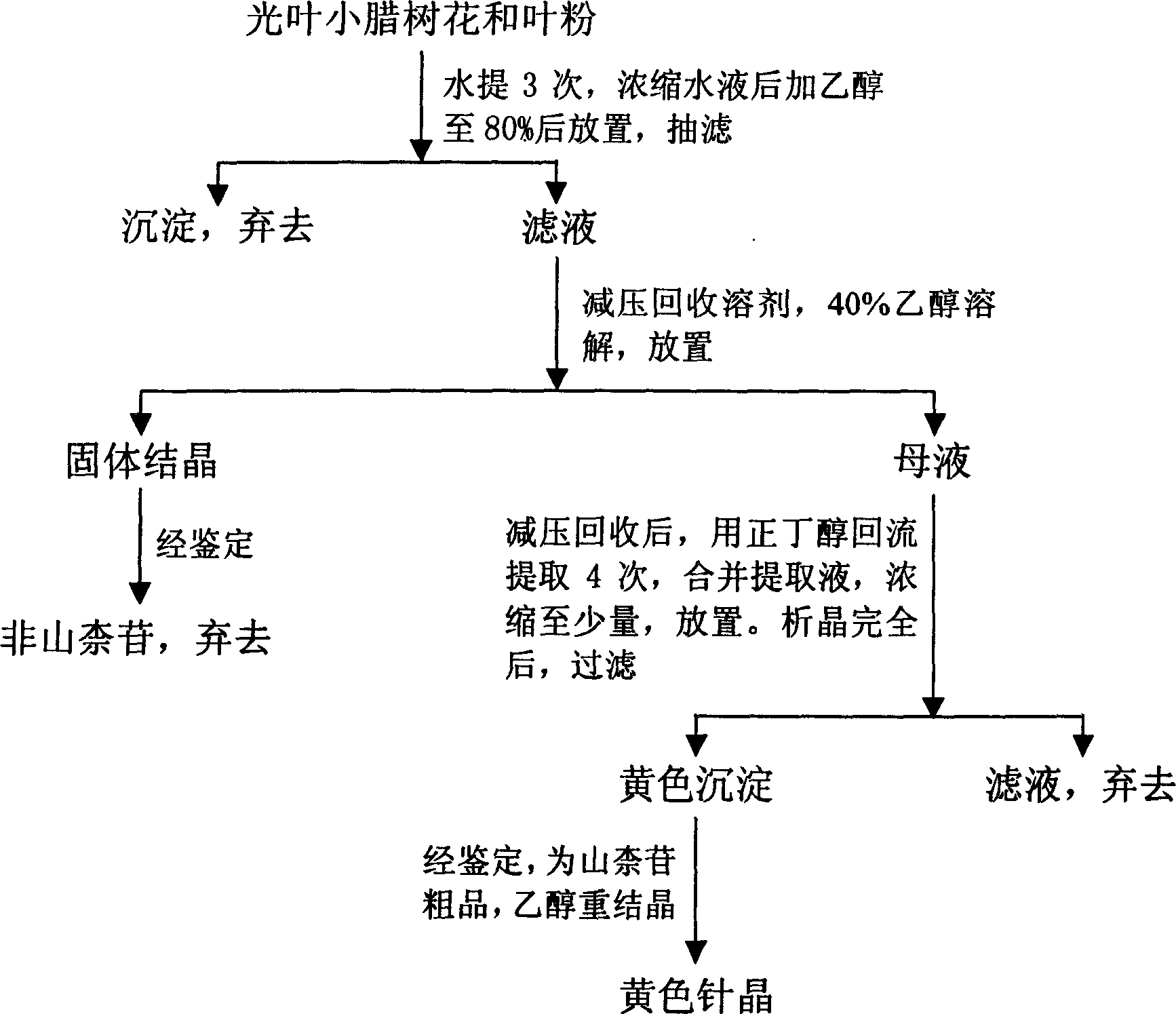 Method for extracting and separating kaempoferitrin from light-leaf ligustrum sinense