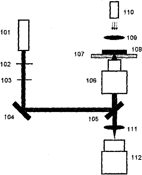 Light processing method for preparing conducting micro-nano structure by utilizing graphene oxide