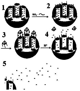 A drug loaded system based on mesoporous silicon and tetrahedron DNA