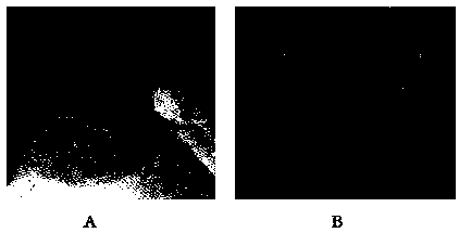 CPV (canine parvovirus)-HuN1703 strain and application thereof