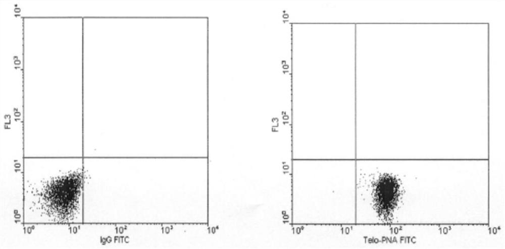 Method of Measuring Chromosome Telomere Length by Flow Cytometry