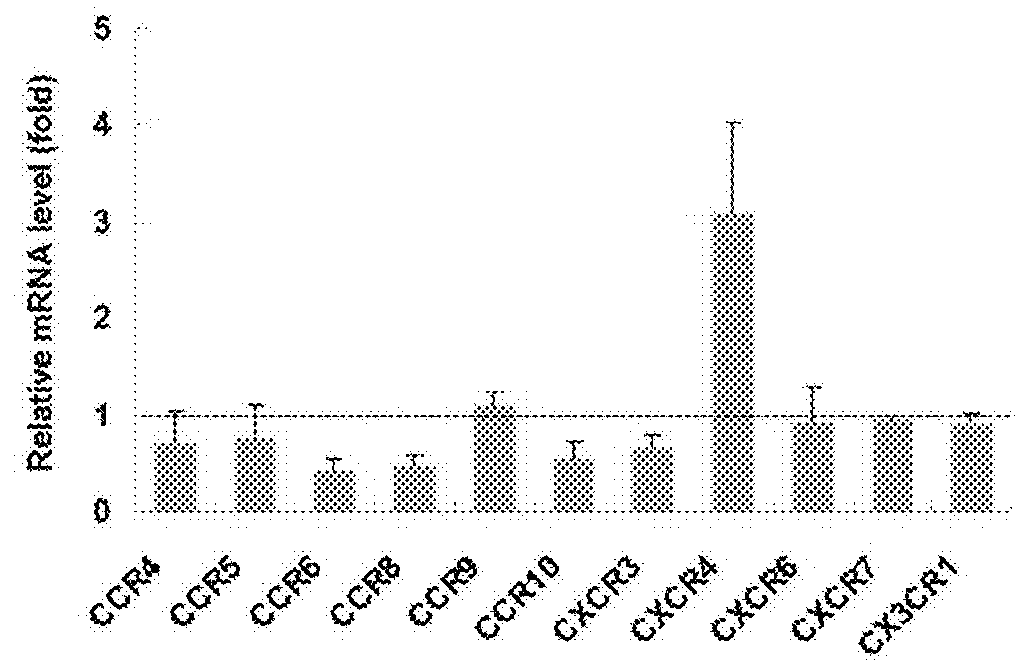 Method for inhibiting lymphangiogenesis by administration of an inhibitor of the cxcl12 pathway