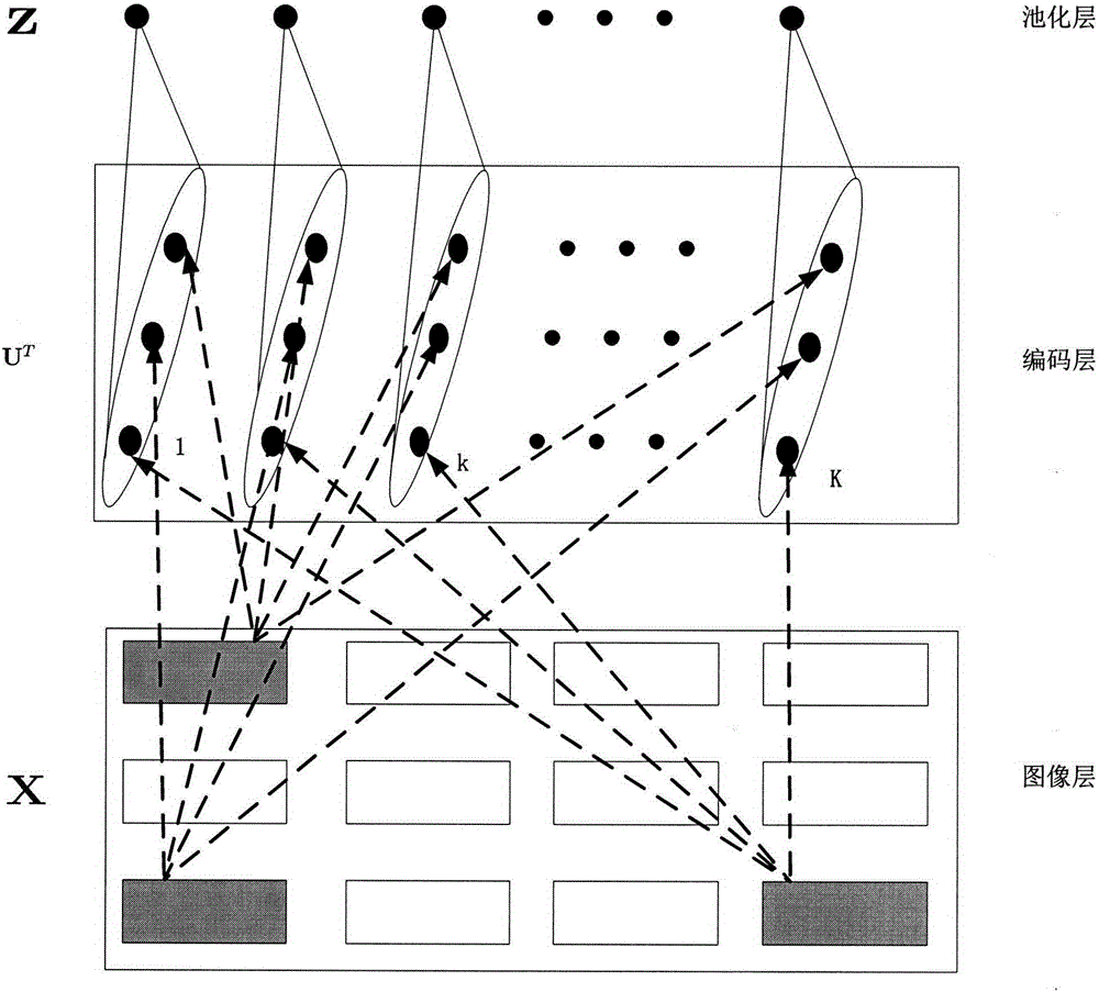 Structured sparse coding based coal rock identification method