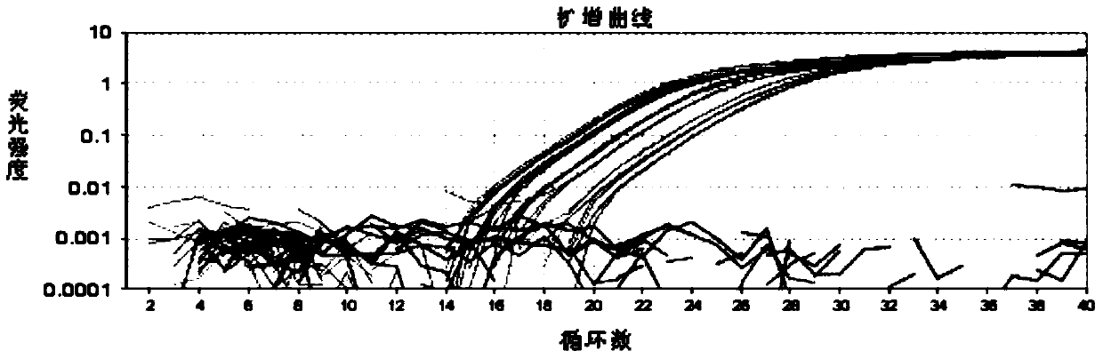 Method for improving specificity of cryptosporidium hominis in water and method for evaluating activity of cryptosporidium hominis in water