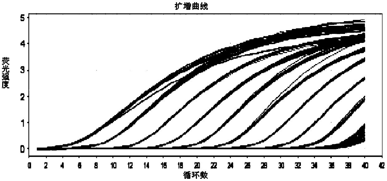 Method for improving specificity of cryptosporidium hominis in water and method for evaluating activity of cryptosporidium hominis in water