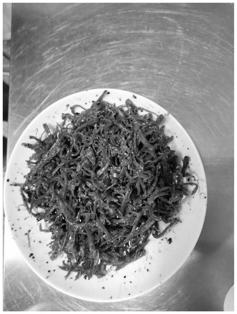 Plant-based translucent shredded beef and preparation method thereof