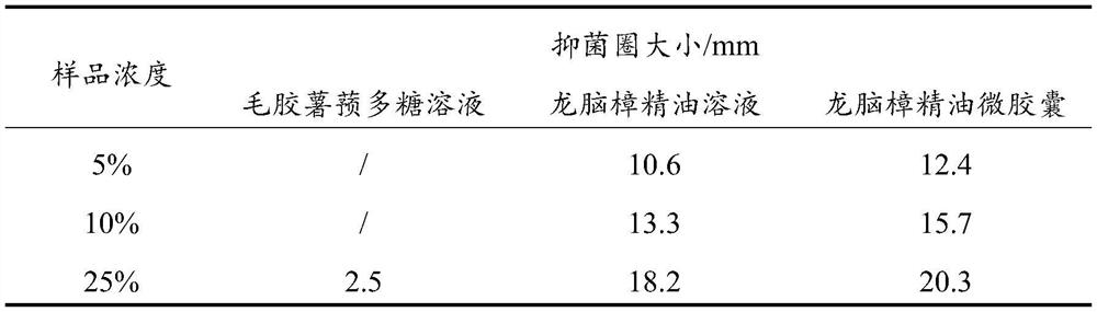 Cinnamomum camphora essential oil microcapsule and preparation method thereof