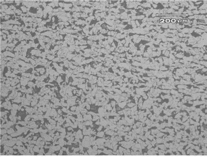 Big-thickness slab manufacturing technique