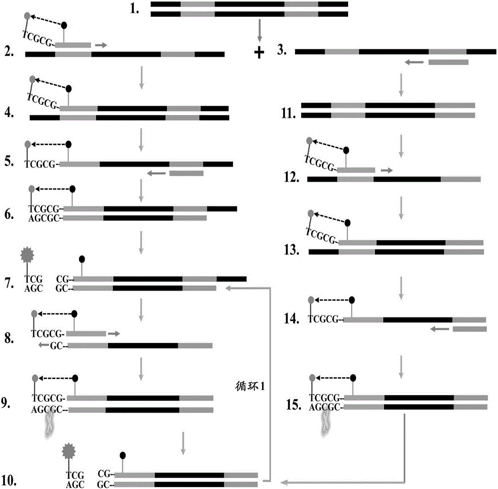 ET-PCR (endonuclease restriction-mediated real-time polymerase chain reaction) nucleic acid testing technology