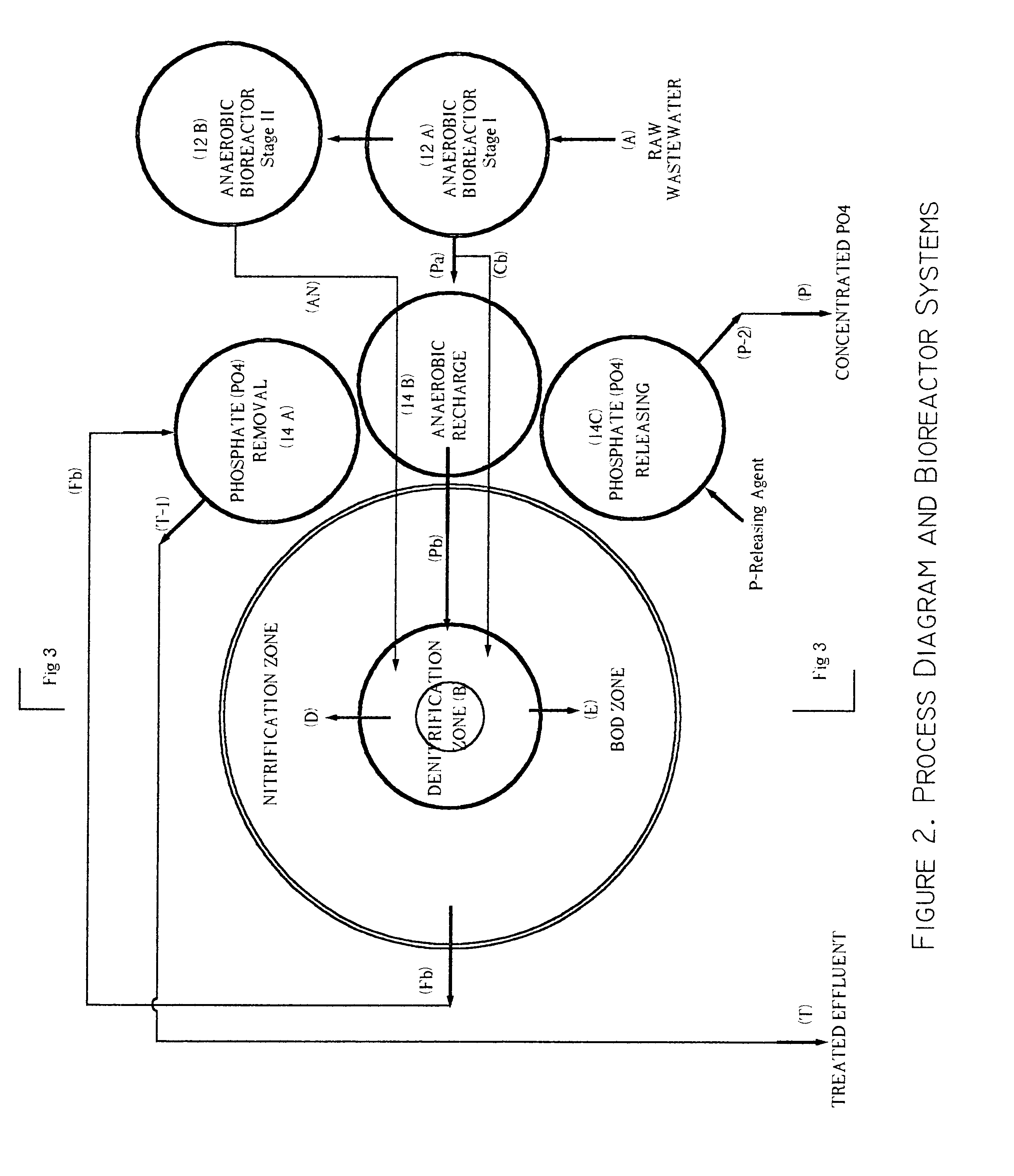 Bioreactor systems for biological nutrient removal