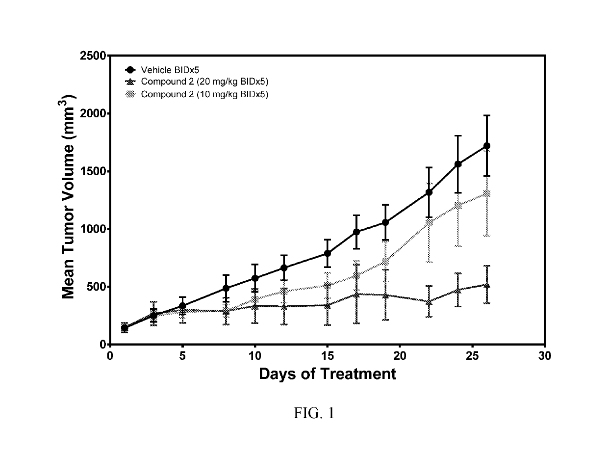 (S,E)-3-(6-aminopyridin-3-yl)-N-((5-(4-(3-fluoro-3-methylpyrrolidine-1-carbonyl)phenyl-7-(4-fluorophenyl)benzofuran-2-yl)methyl)acrylamide for the treatment of cancer