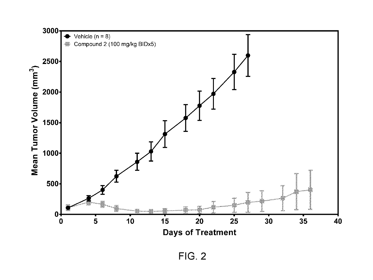 (S,E)-3-(6-aminopyridin-3-yl)-N-((5-(4-(3-fluoro-3-methylpyrrolidine-1-carbonyl)phenyl-7-(4-fluorophenyl)benzofuran-2-yl)methyl)acrylamide for the treatment of cancer