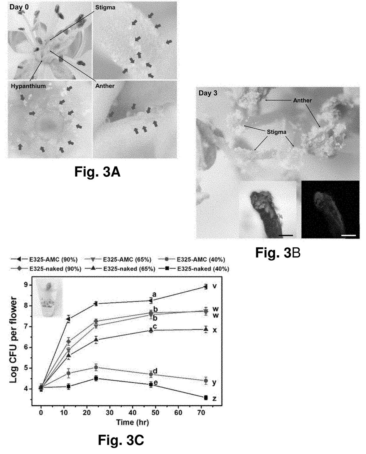 Encapsulated Biocontrol Agents