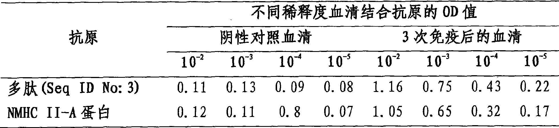 Novel PRRS virus receptor and block inhibitor thereof