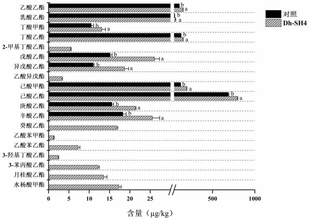 Debaryomyces hansenii capable of improving flavor of dried sausages and application of debaryomyces hansenii