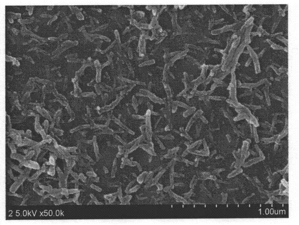 A kind of preparation device and method of polyaniline nanofiber