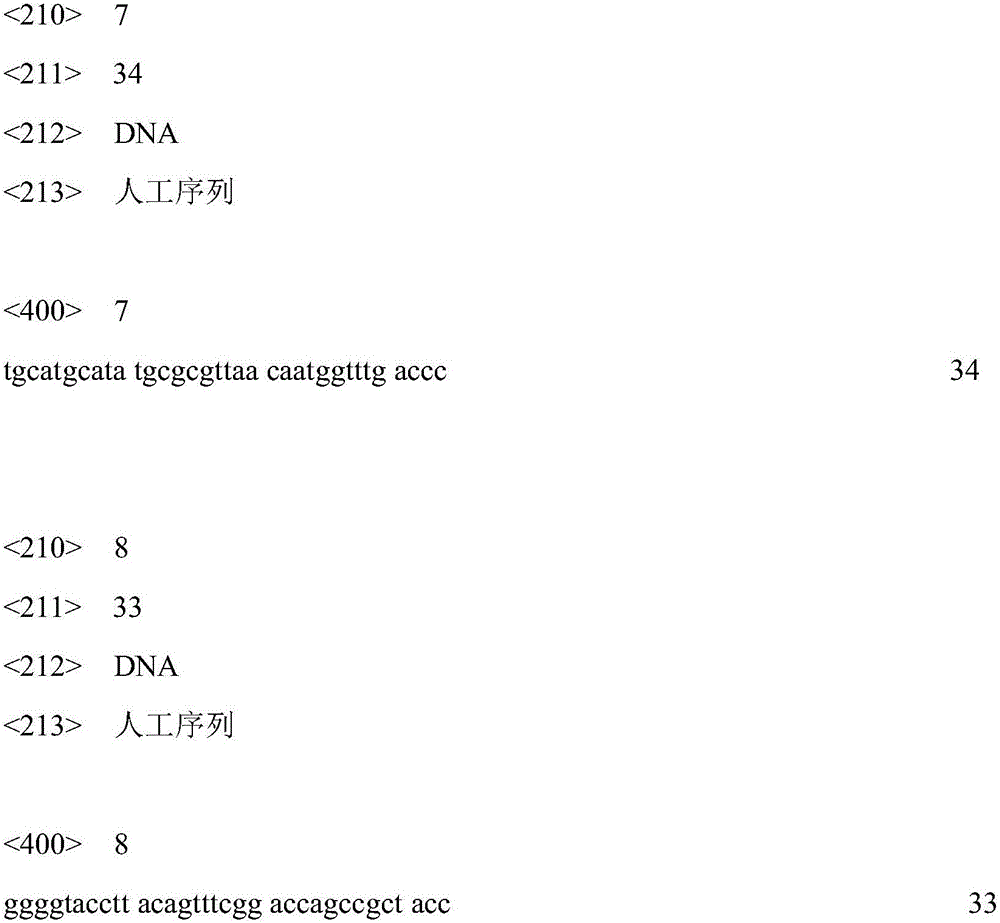 Method for increasing carbon source utilization rate in aspergillus oryzae L-malic acid synthesizing process