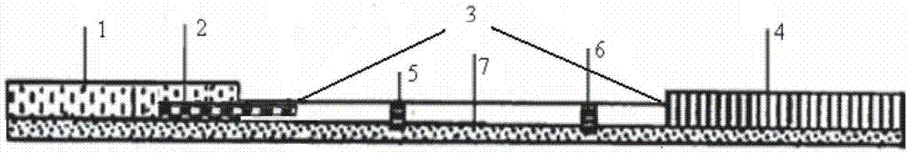 A test paper card for detecting aflatoxin b1 and its application