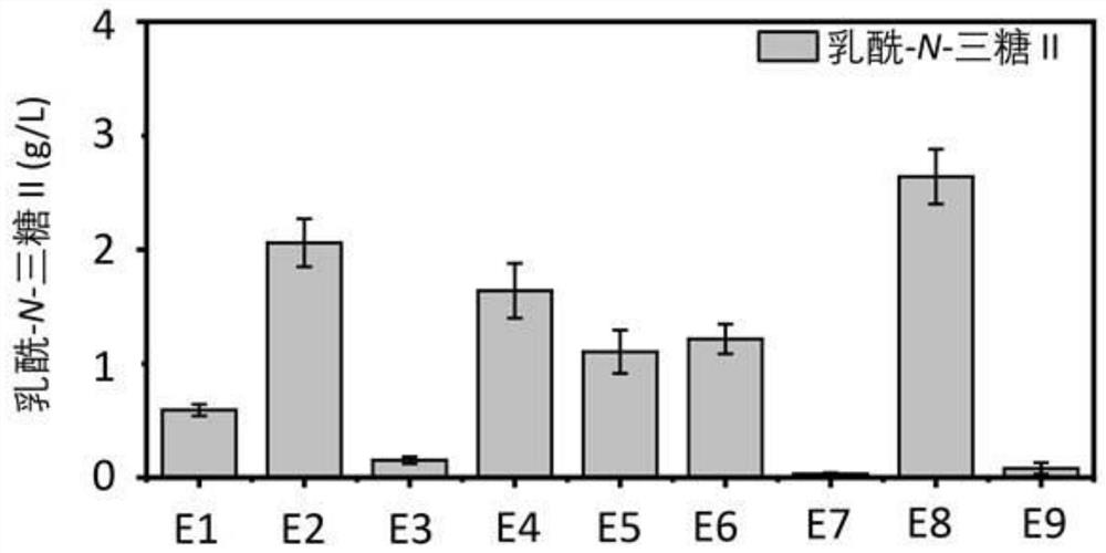 A kind of genetically engineered bacteria and production method for improving lactoyl-n-trisaccharide II yield