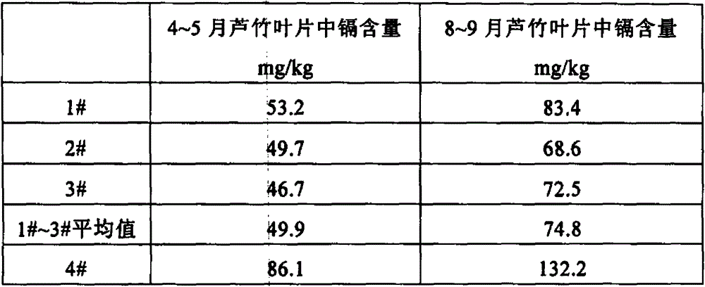 Preparation method of biochar-like matter used for heavy metal contaminated soil repair