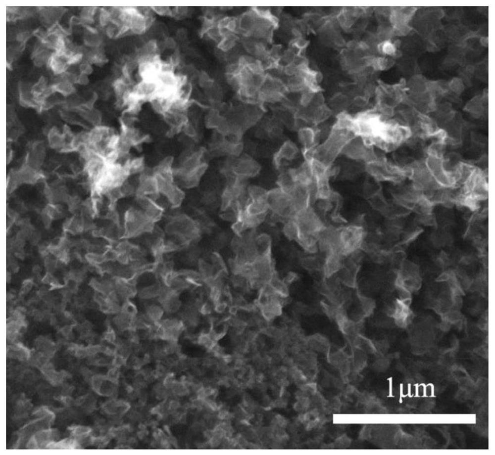 Method for preparing nitrogen-doped nano lamellar or Fe2O3 nanoparticle-loaded graphite structure