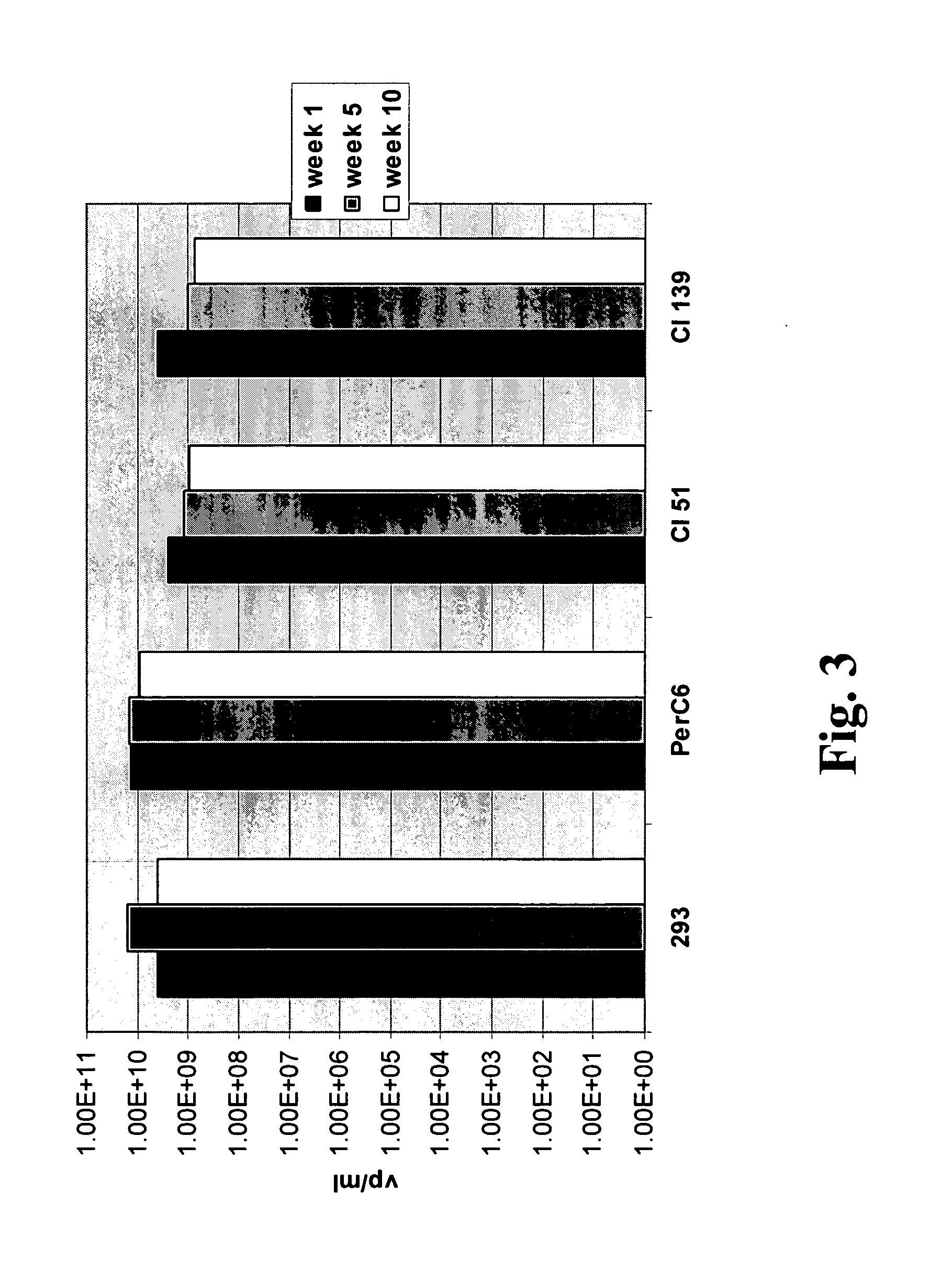 Adenoviral E1A/E1B complementing cell line