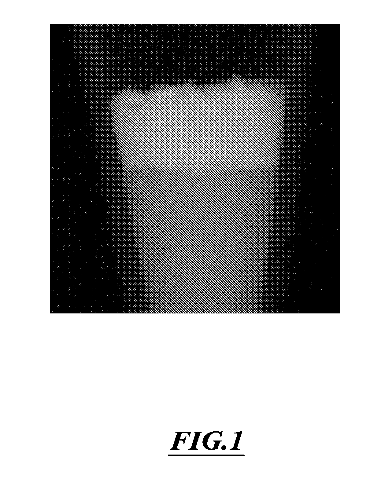 Galliated Calcium Phosphate Biomaterials