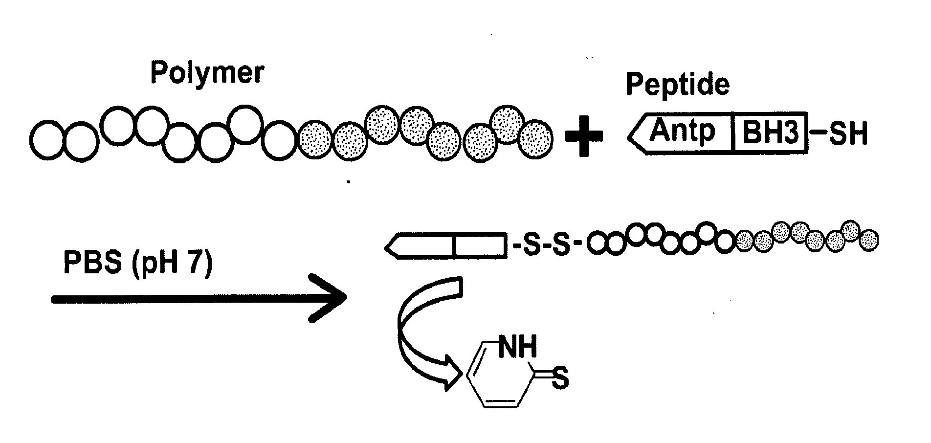 Bispecific intracellular delivery vehicles