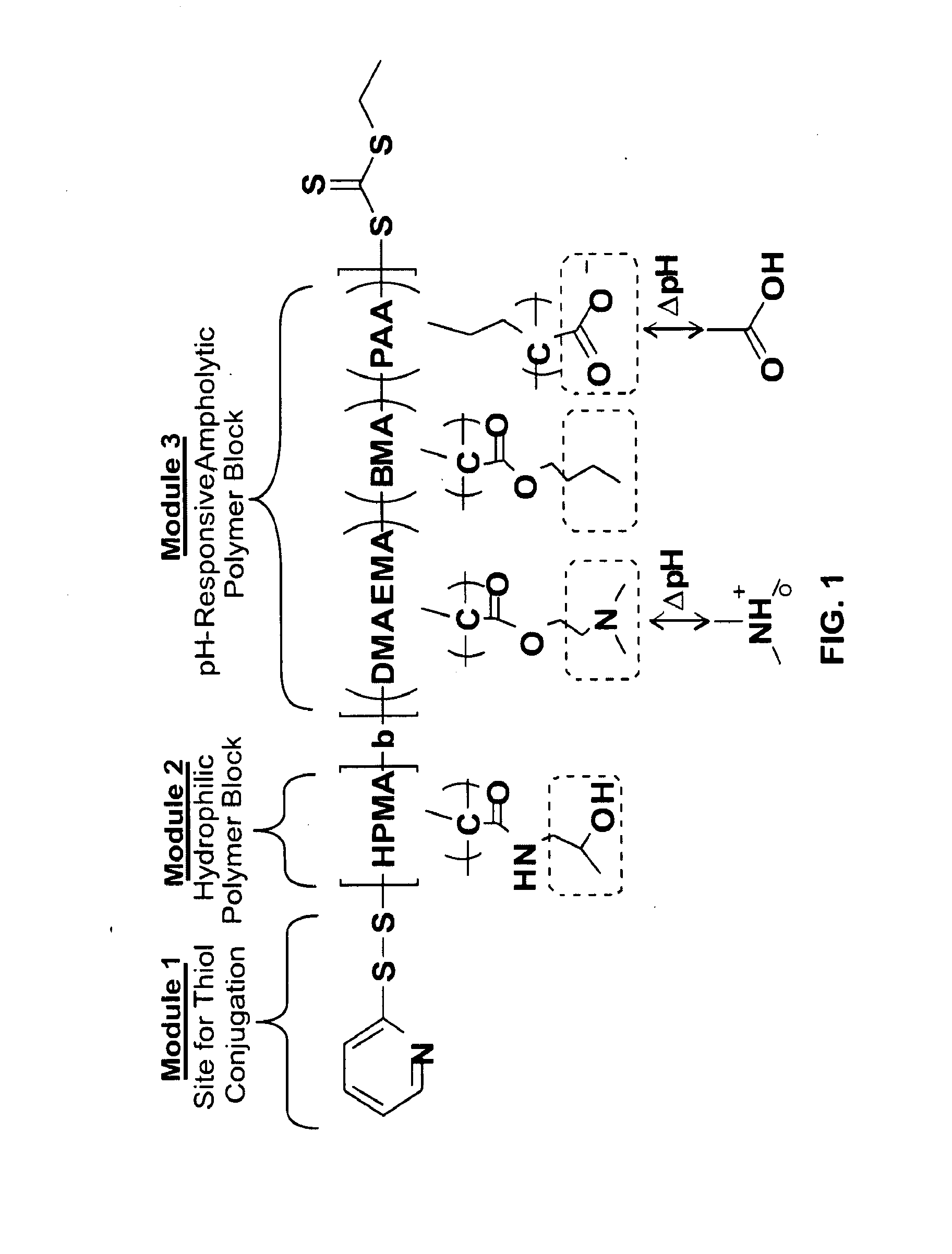 Bispecific intracellular delivery vehicles