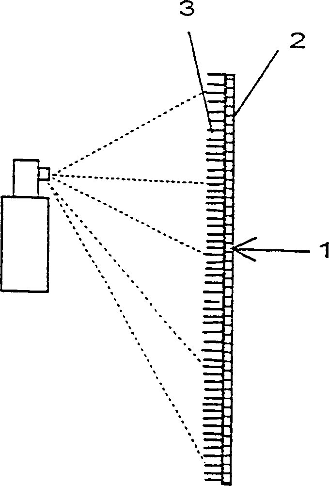 Combination clothing from fabric and fur and production method thereof