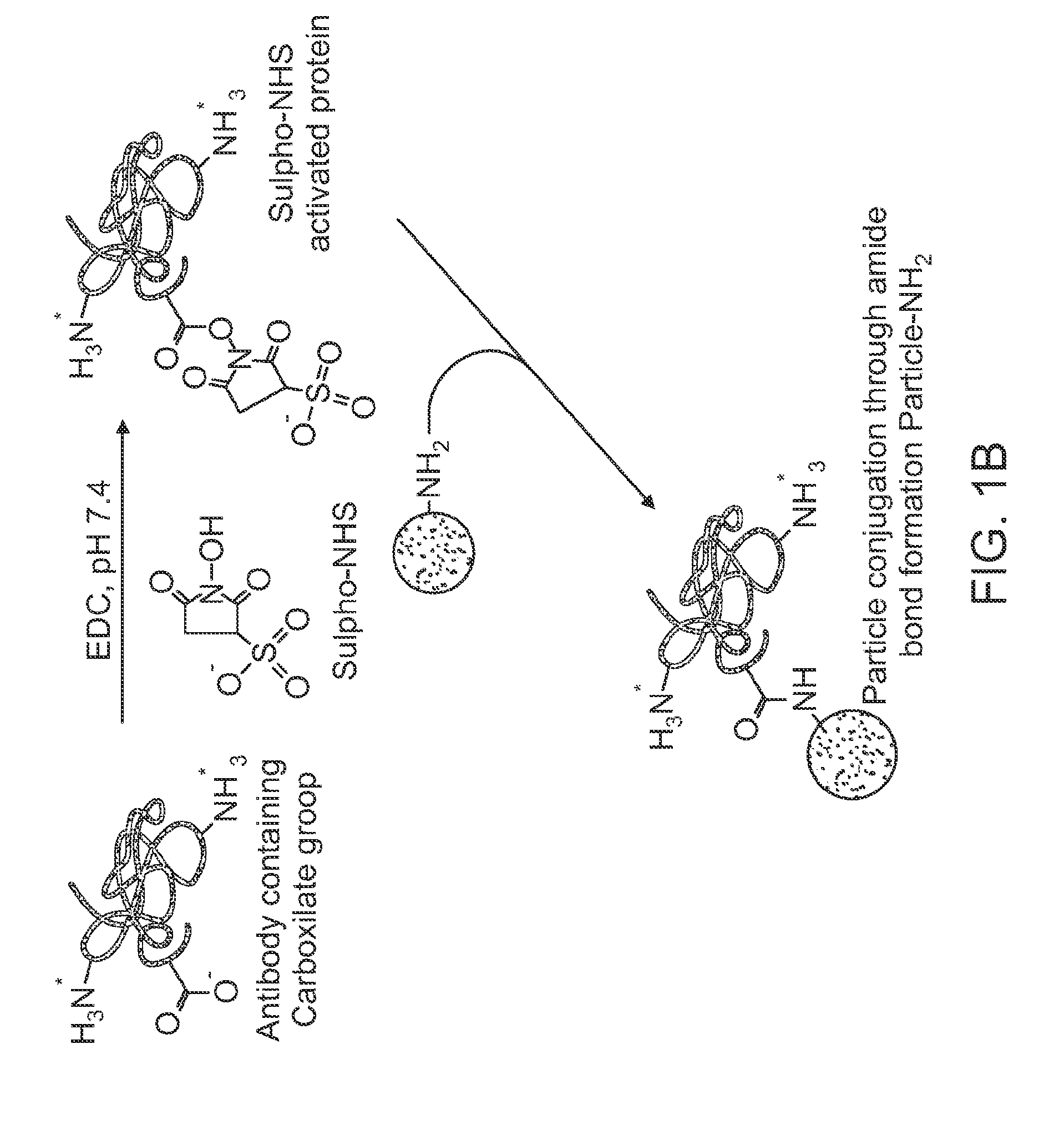 Therapeutic stable nanoparticles