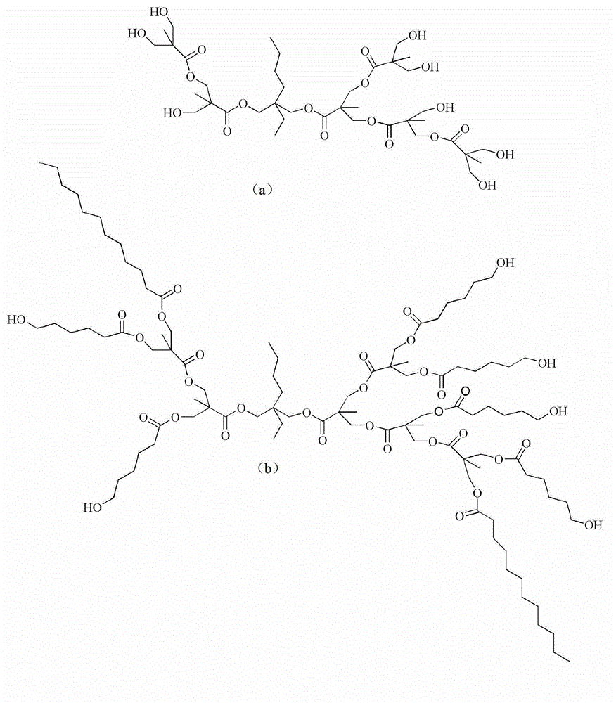 Caprolactone modified hyperbranched polyester and preparation method and application thereof