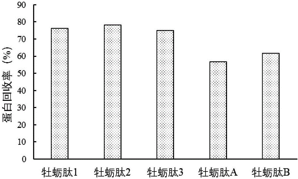 Method for quickly separating oyster peptide from oyster enzymolysis liquid