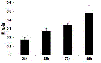 Constructing method of human amniotic membrane epithelial stem cell library