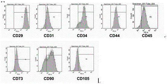 Constructing method of human amniotic membrane epithelial stem cell library