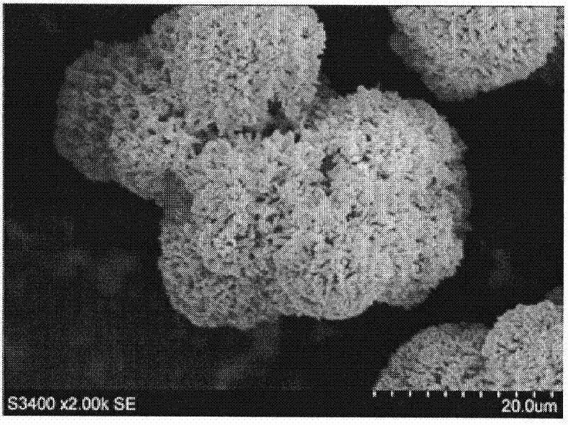 Method for preparing large-particle cerium oxide