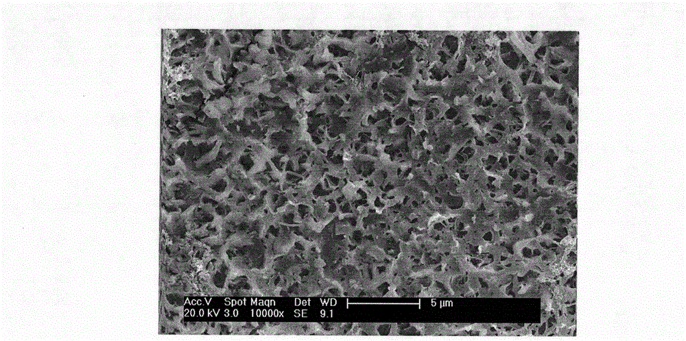 Artificial joint having slow-release function of rare earth element cerium and preparation method thereof