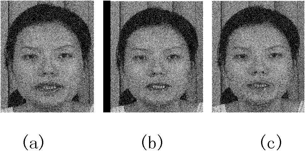 Method for positioning lip region in color face image