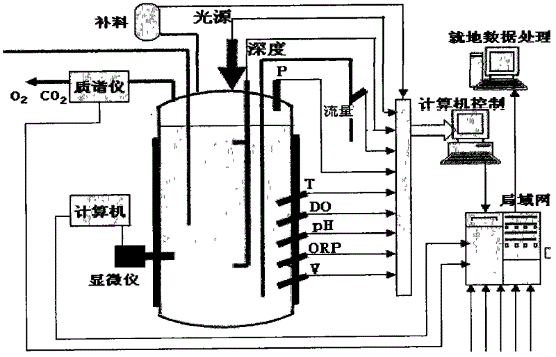 Enclosed photobioreactor apparatus based on process mass spectrometer, and alga cell growth process monitoring method