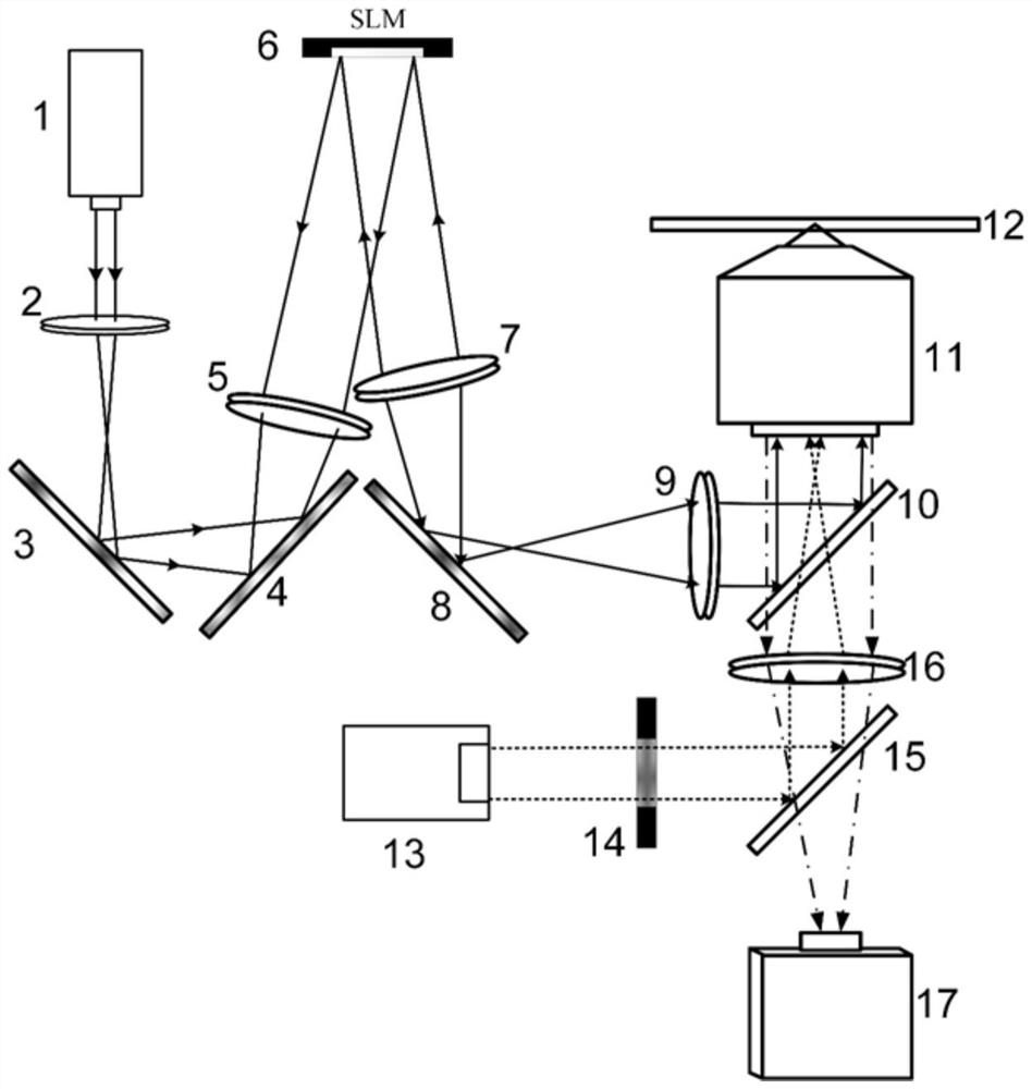 Holographic optical tweezer fusion structure illumination microscopic system and method