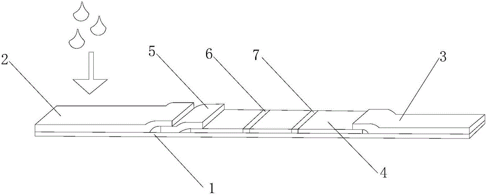 Fluorescence immunoassay method of procalcitonin in saliva