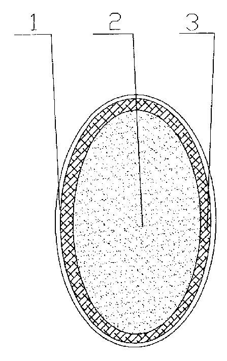 Chinese medicine suppository for curing gynecopathy, and its preparing method and use method