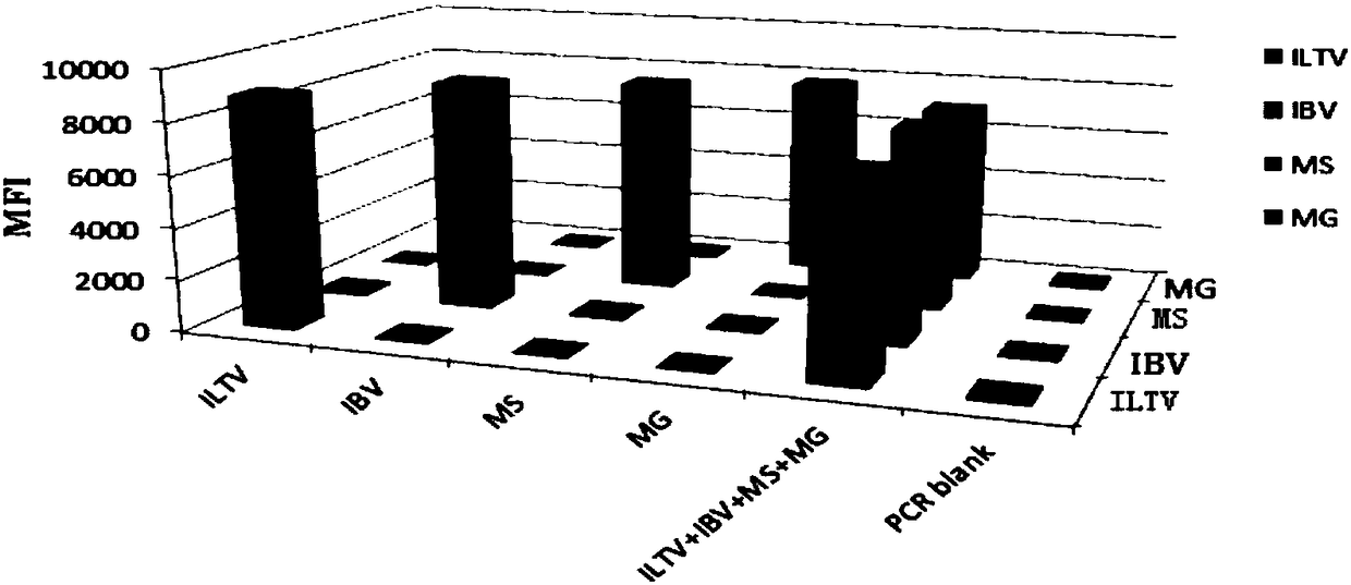 A multiple fluorescence immunoassay method and reagents for rapidly distinguishing ilTV, ibv, mg and ms