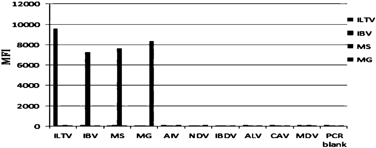 A multiple fluorescence immunoassay method and reagents for rapidly distinguishing ilTV, ibv, mg and ms