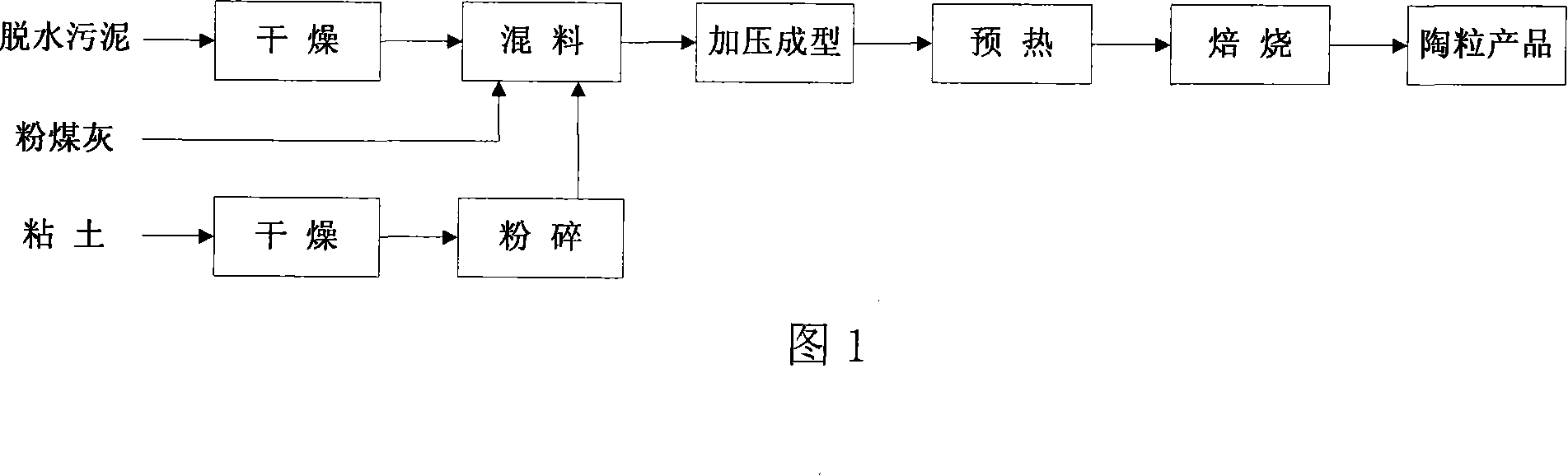 Method for preparing haydite by sintering urban domestic sewage sludge