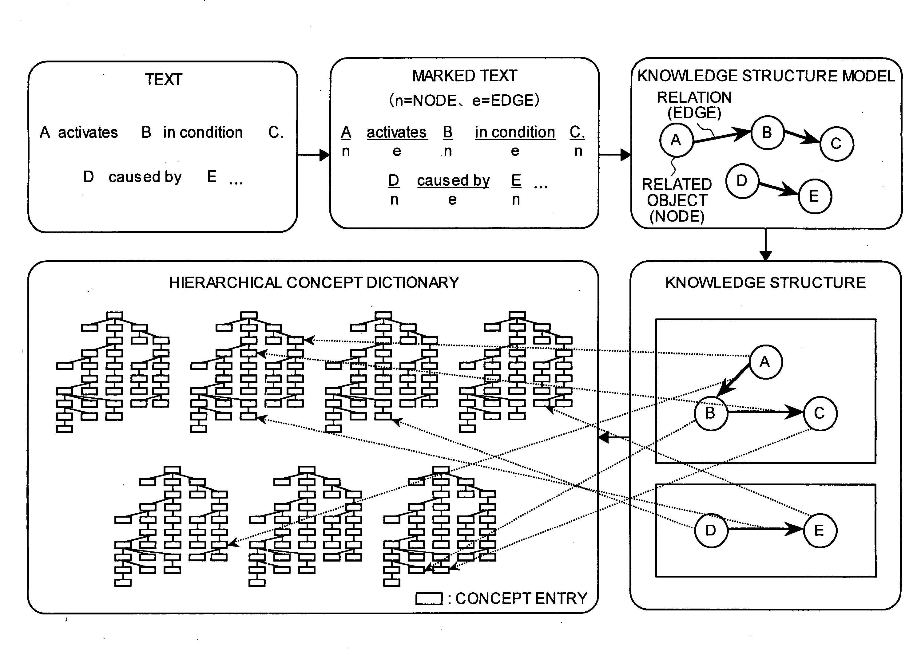 Document knowledge management apparatus and method