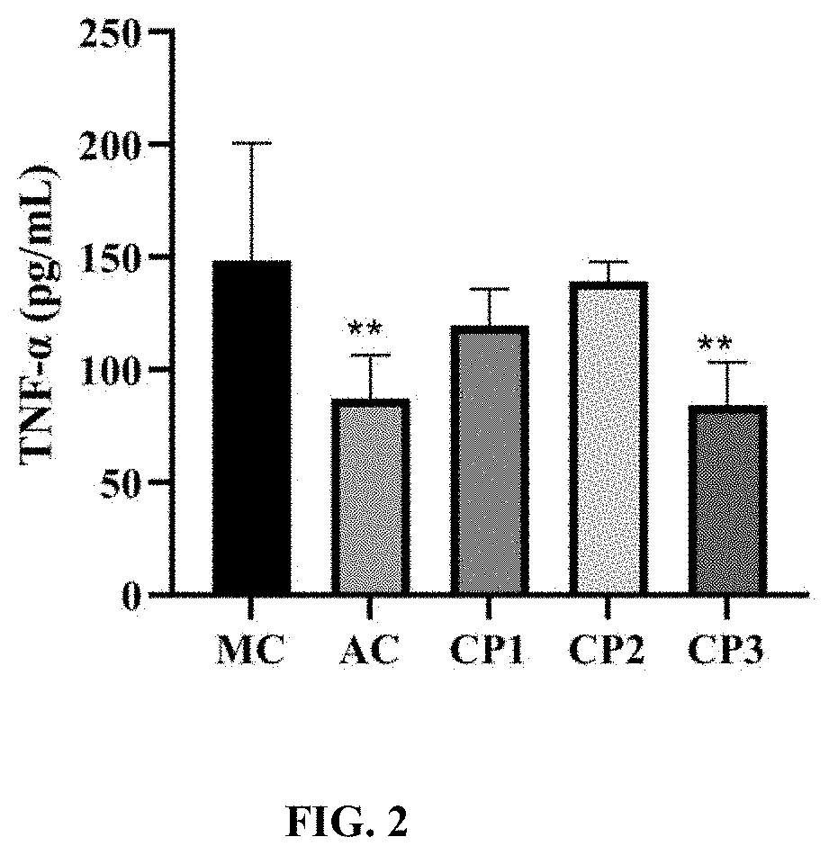 Prepration method and application of Anti-inflammatory kidney protecting clam peptide